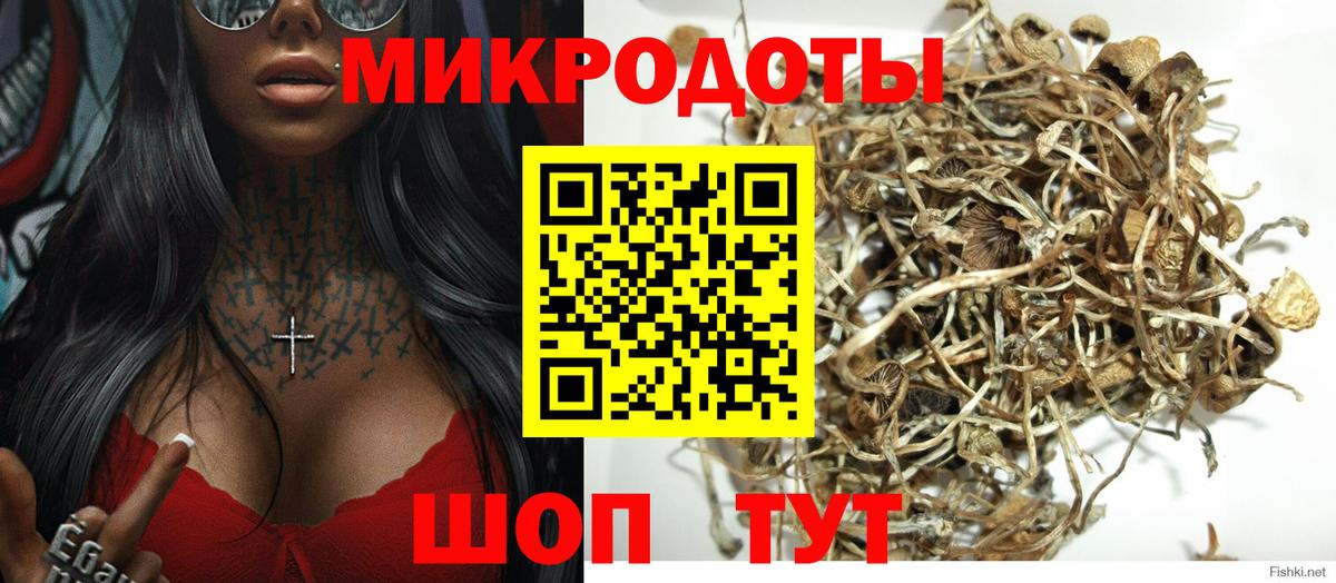 Псилоцибиновые грибы Psilocybine cubensis Еманжелинск